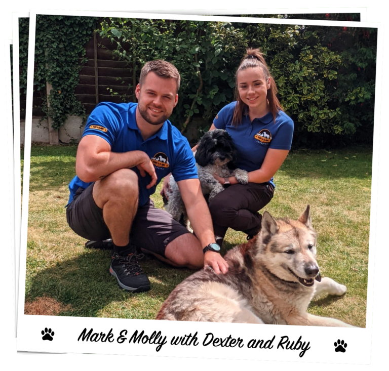 Dog Walkers Haslington & Crewe Paws & Claws Cheshire